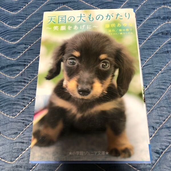 天国の犬ものがたり 〔8〕 (小学館ジュニア文庫 ジほ-1-8) 堀田敦子/原作 藤咲あゆな/著 環方このみ/イラスト
