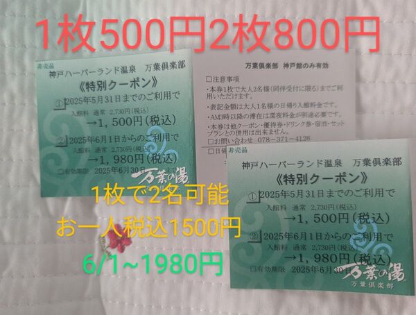 ハーバーランド温泉神戸万葉倶楽部 特別クーポン 2枚(1枚で2名)