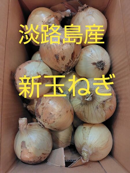 淡路島産 新玉ねぎ 30玉 約9キロ