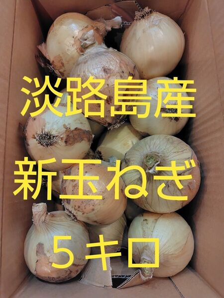 淡路島産 新玉ねぎ 15玉 約5キロ