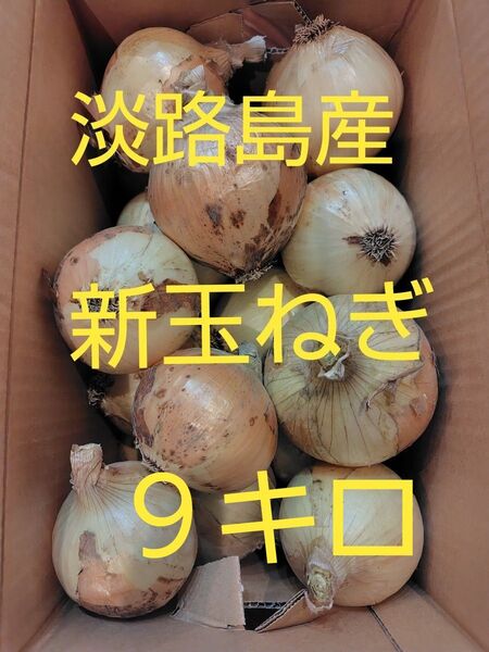 淡路島産 新玉ねぎ 30玉 約9キロ