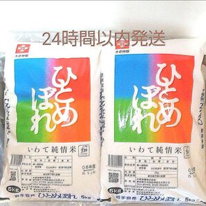 令和6年度 岩手県産 ひとめぼれ 5kg×2袋 10kg 白米 いわて純情米 単一原料米 送料無料 24時間以内発送