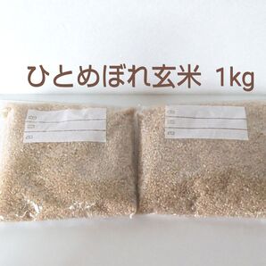 令和6年 岩手県産 ひとめぼれ玄米 1kg