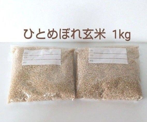 令和6年 岩手県産 ひとめぼれ玄米 1kg