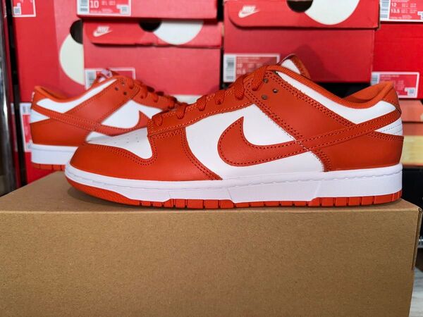 【新品未使用】Nike Dunk Low Retro 29.5cm