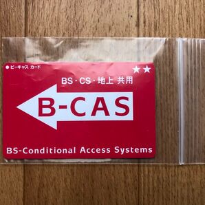 チャック付き 保存袋 ポリ袋 ビニール袋 小袋 カード サイズ ×1