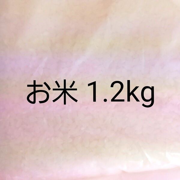 お米 未開封 1.2kg