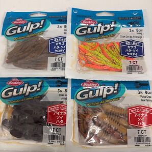 NO.5922 バークレイガルプ パルスクロー ホッグ 未開封品4点セット
