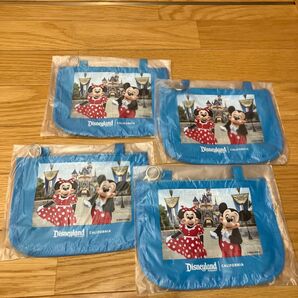 アメリカ ディズニーパーク オリジナルグッズ