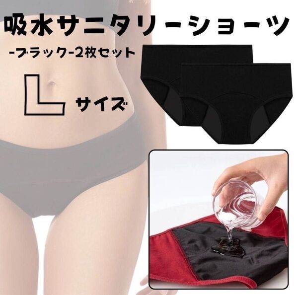 下着 Lサイズ サニタリーショーツ 生理用 快適 吸水 ナプキン不要 黒
