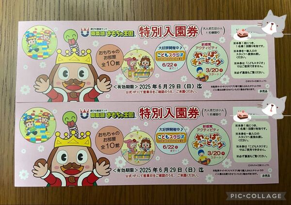 東条湖おもちゃ王国 特別入園 2枚