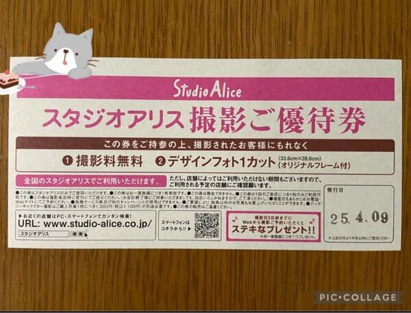 スタジオアリス 撮影券 1カット フレーム付