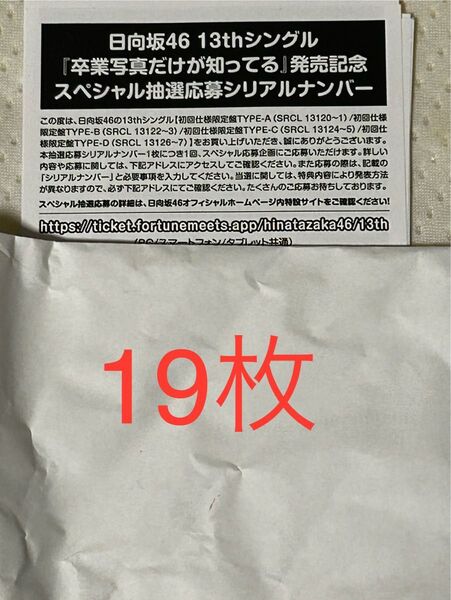 日向坂 CD封入 スペシャル応募券 19枚