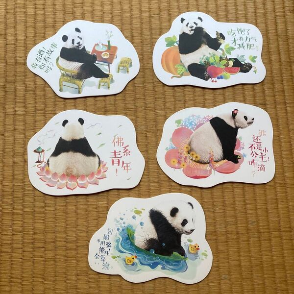 中国 パンダ 厚紙ポストカード 5枚セット