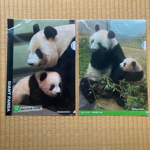 新品 パンダ クリアファイル 2枚セット シャンシャン シンシン 上野動物園