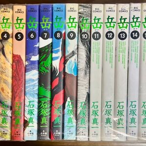 岳 (ガク) 全18巻完結セット 石塚真一 (ビッグコミックス)