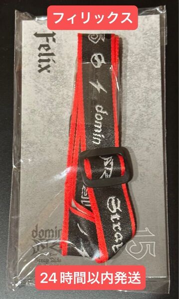 NECK STRAP - Felix ネックストラップ フィリックス Stray Kids World Tour dominATE