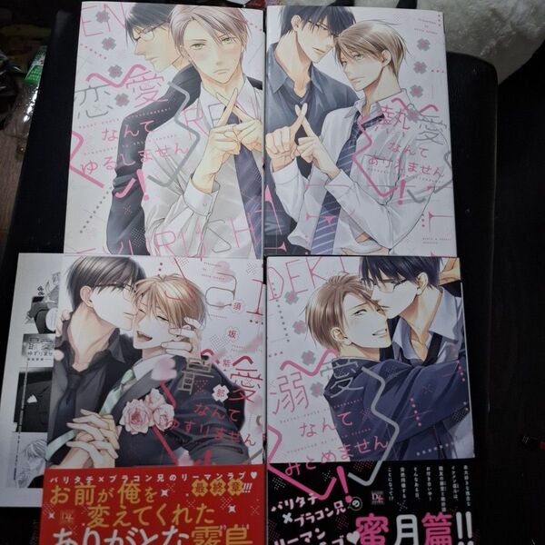 恋愛なんてゆるしません!、熱愛なんてありえません!、溺愛なんてみとめません!、最愛なんてゆずりません!