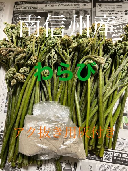 長野県産 わらび アク抜き用灰付き