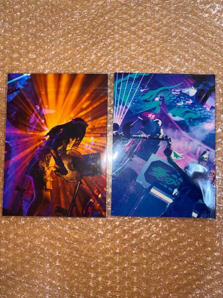 ずっと真夜中でいいのに。ずとまよ ライブフォト