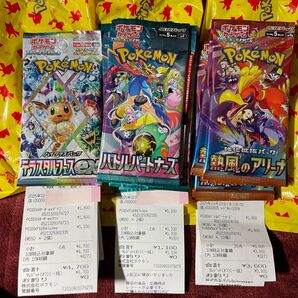 バトルパートナーズ 熱風のアリーナ テラスタルフェスex