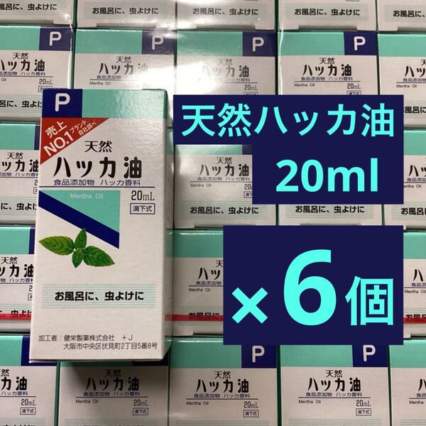 天然 ハッカ油 20ml × 6個