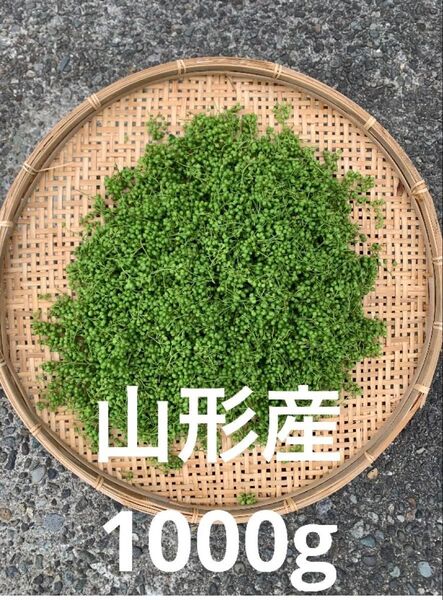 山形県産 山椒の実 無農薬 1000g