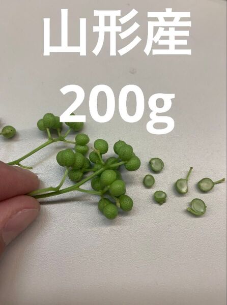 山形県産 山椒の実 無農薬 200g