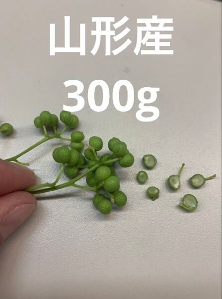 山形県産 山椒の実 無農薬 300g