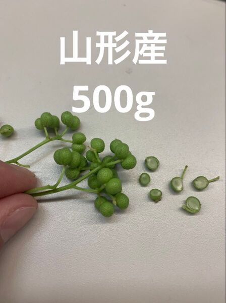 山形県産 山椒の実 無農薬 500g