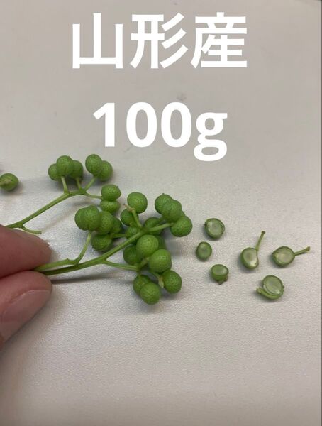 山形県産 山椒の実 無農薬 100g