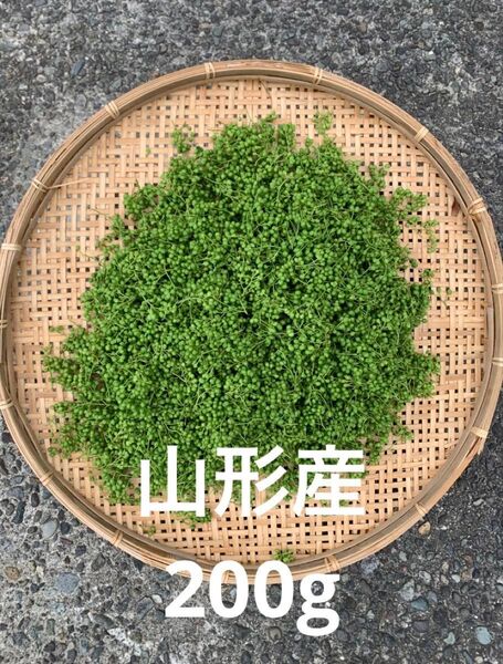 山形県産 山椒の実 無農薬 200g