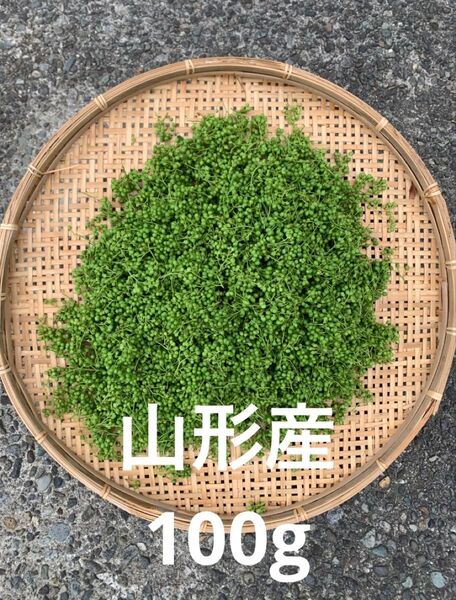 山形県産 山椒の実 無農薬 100g