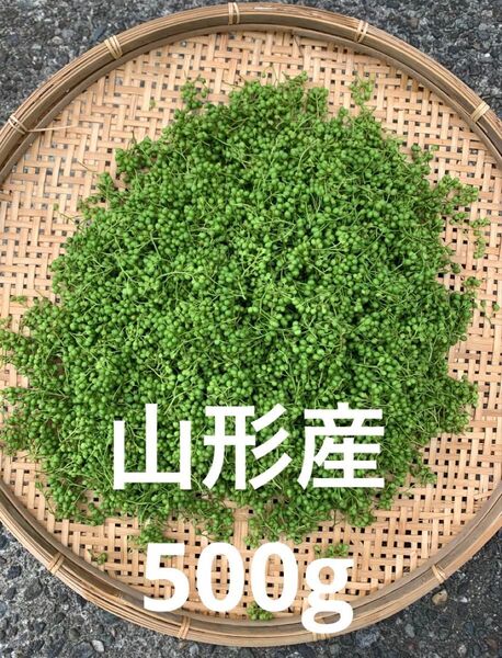 山形県産 山椒の実 無農薬 500g