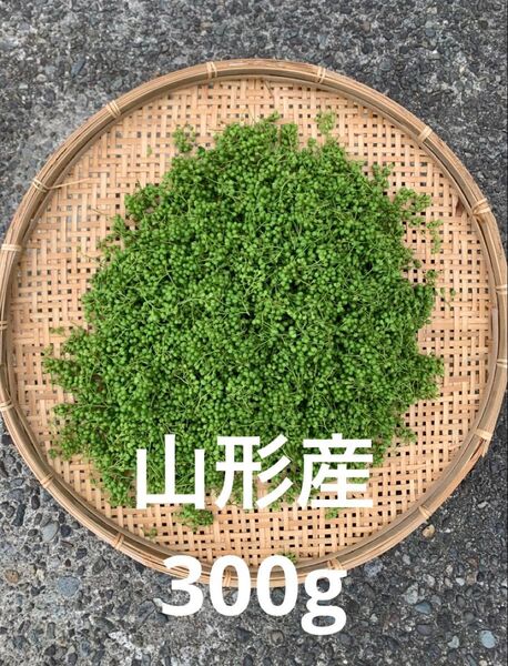 山形県産 山椒の実 無農薬 300g