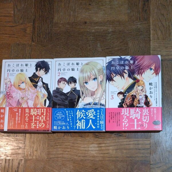 おこぼれ姫と円卓の騎士 1〜3巻セット