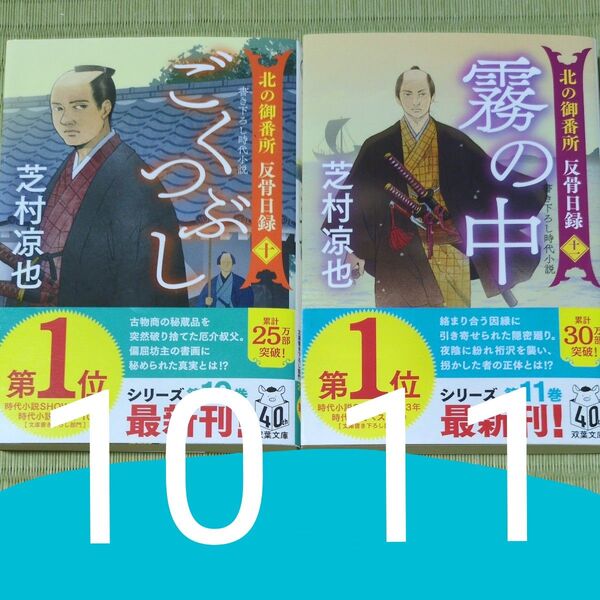 霧の中 (双葉文庫 し-32-44 北の御番所反骨日録 11) 芝村凉也/著、こくつぶし 10