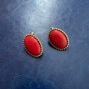 イヤリング 装飾品 アクセサリー