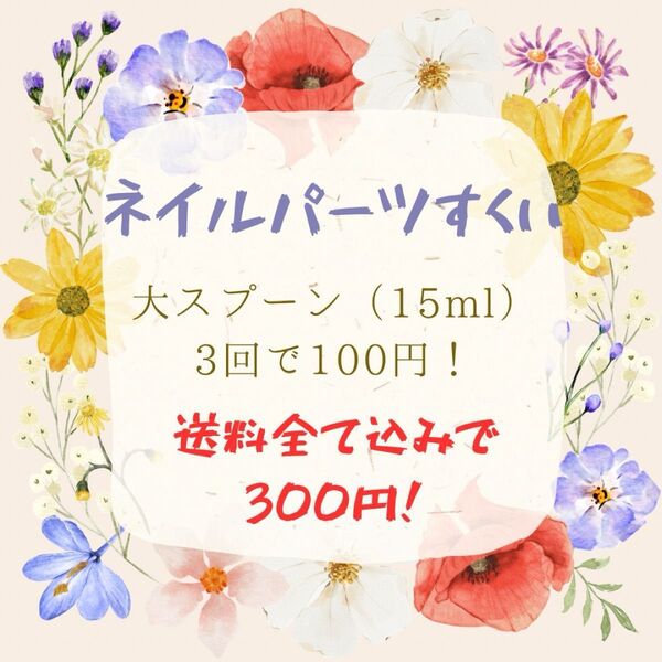 ネイルパーツ ネイルパーツすくい ネイパ ネイパすくい