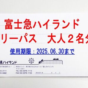 【富士急ハイランド】フリーパス引換券 大人2名分 有効期限 2025.06.30