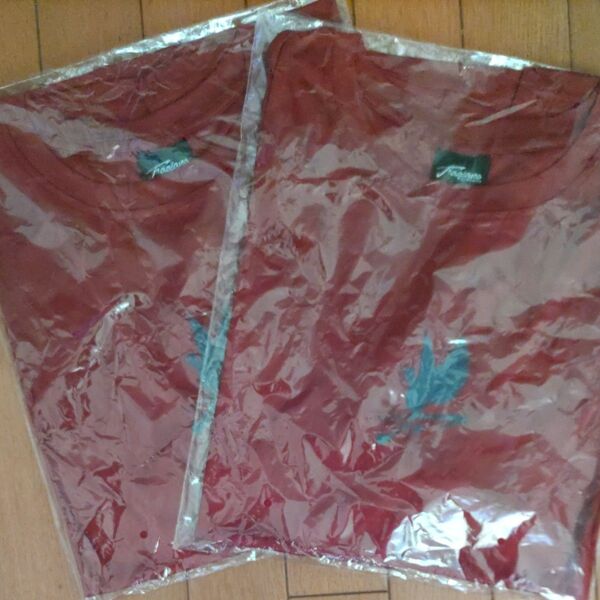 ファジアーノ岡山 Tシャツ 2枚セット
