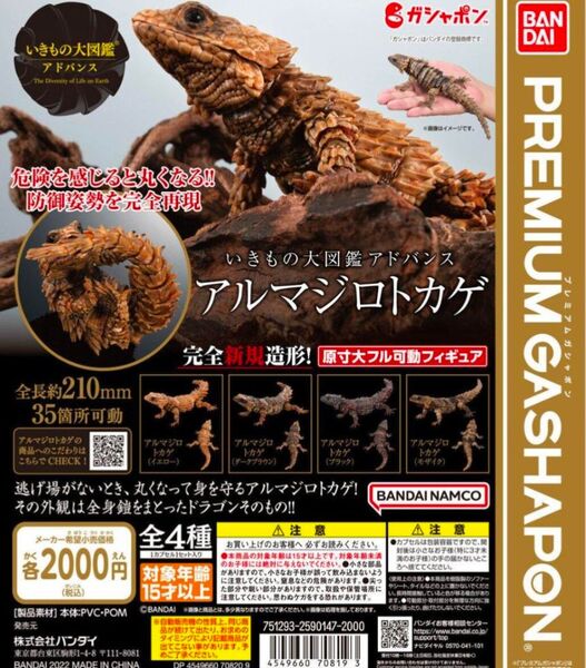 いきもの大図鑑アドバンス アルマジロトカゲ コンプセット
