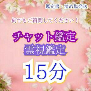 【本日のみ値下げ】15分間 占い放題 チャット鑑定