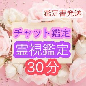 【本日のみ値下げ】30分間 占い放題 チャット鑑定