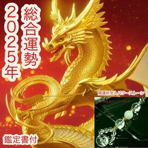 2025年 霊視 総合運勢 開運 守護神 念入り キーホルダー
