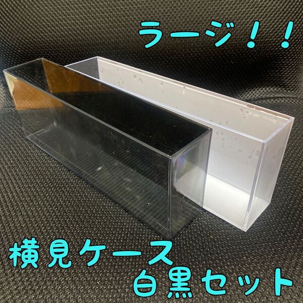 ラージサイズ 横見ケース メダカ 熱帯魚 スケール付き ホワイト ブラック