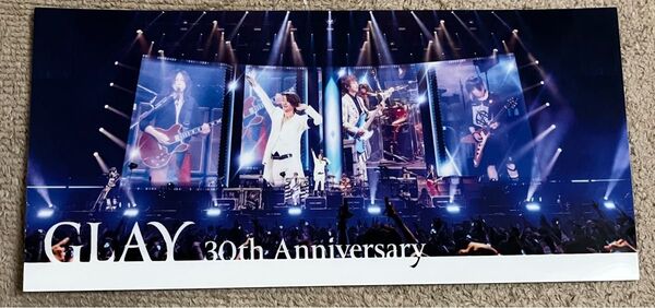 GLAY×GIGOキャンペーン第2弾、ノベルティ クリアマルチケース 集合ライブ風景です。