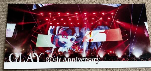 GLAY×GIGOキャンペーン第2弾、ノベルティ クリアマルチケース 集合ライブ風景です。