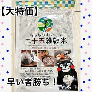 【在庫整理・早い者勝ち!】くまモン もっちりおいしい 25雑穀米 450g ×1袋 雑穀 米 くまもと風土