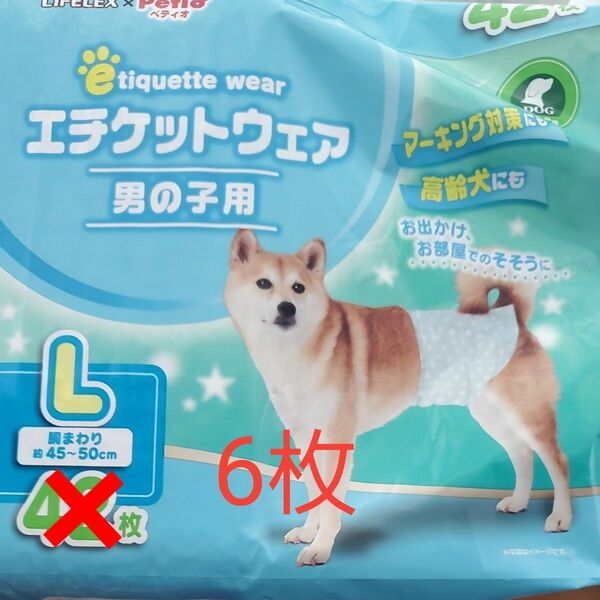 ペティオ エチケットウェア 男の子用 Lサイズ 6枚